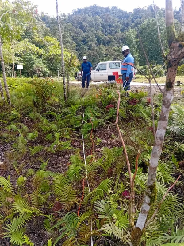 Field investigation in vegetated terrain